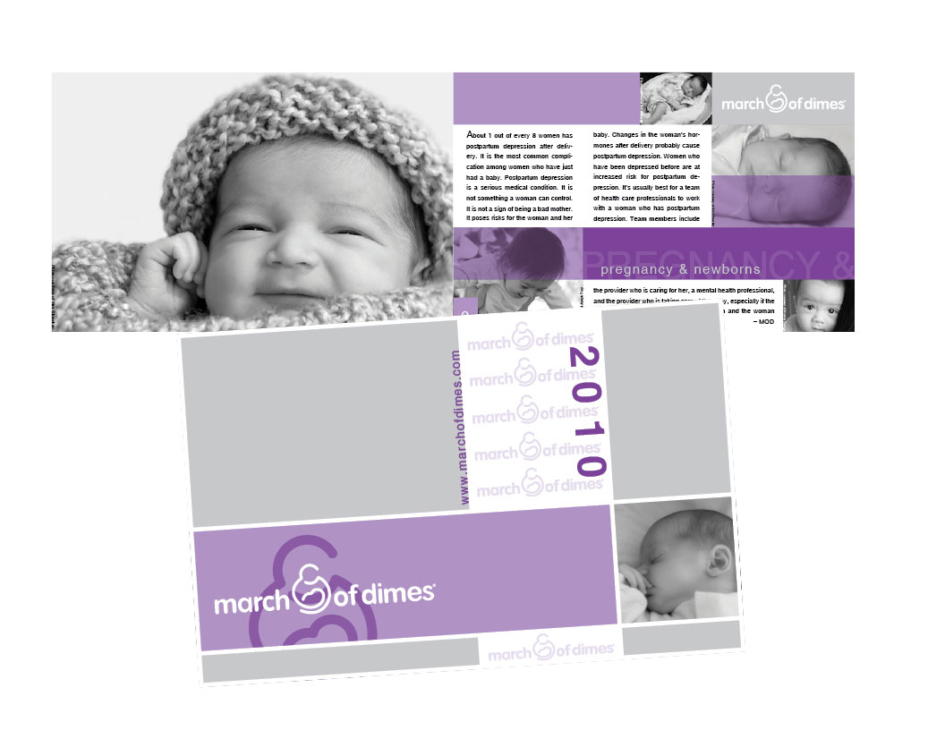 Annual Report Design and Photography